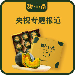 甜小南 山西贝贝南瓜 京选款 1050g
