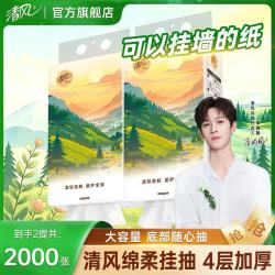 清风 悬挂式抽纸山水画 4层250抽*2提 共2000张