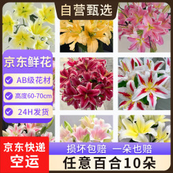 京东鲜花 百合花鲜花10朵