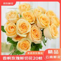 京东鲜花 情人节鲜花云南昆明基地香槟玫瑰买10枝送10枝生活鲜花源头直发