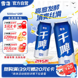 雪花 BEER 雪花 SNOWBEER BEER BEER 干啤 500ml*12听