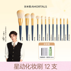 尔木萄 丁禹兮同款星动化妆刷12支套刷含眼影刷散粉刷腮红刷便携美妆工具 星动化妆刷 12支