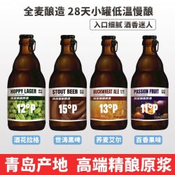 两班 青岛产地精酿原浆啤酒巧克力世涛黑啤百香果荞麦拉格高端小瓶整箱