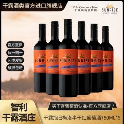 干露 旭日梅洛半干红葡萄酒智利进口红酒750ml*6整箱
