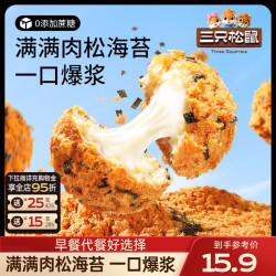 三只松鼠 肉松夹心吐司面包健康营养早餐代餐糕点点心休闲零食饱腹食品整箱 肉松海苔小贝240g