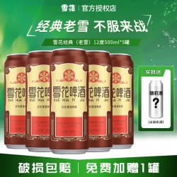 雪花 经典沈阳老雪花500ml*5大罐+1罐饮料
