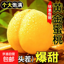 山东蒙阴黄桃蜜桃脆甜桃子新鲜水果当季水果爆汁应季整箱批发 带箱5斤净重4.6斤（小果）