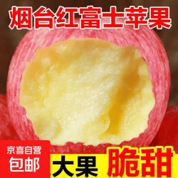 山东烟台苹果栖霞红富士新鲜水果生鲜山东特产脆甜整箱平果礼盒 礼盒装9斤(中果75mm+)
