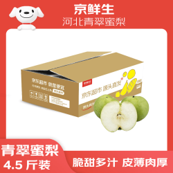 京鲜生 河北青皮皇冠梨  净重5斤 单果250g+ 新鲜水果 源头直发 包邮