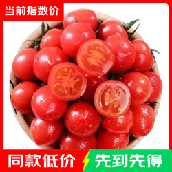 新鲜圣女果小番茄千禧小西红柿水孕妇生吃酸甜多汁减脂时令蔬菜 带箱5斤 净重 4.5斤