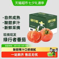 88VIP：绿行者 西红柿 2.25kg