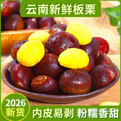 言片光 2026年云南新鲜板栗老树生板栗新鲜油栗子新鲜应季蔬菜 净重 3斤 新板栗 I 精选大果