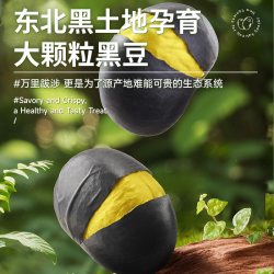 三只松鼠 盐炒黑豆 500g 罐装