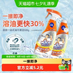 威猛先生 厨房一站式油污清洁剂500g*2