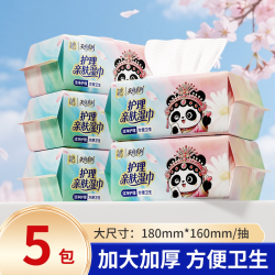 天府韵 80抽*5包大包装护理湿巾加大加厚家用实惠装柔软亲肤卫生湿纸巾