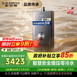 A.O.SMITH JSQ31-TJD 零冷水恒温 16L 天然气燃气热水器