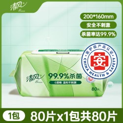 清风 湿巾御本草杀菌湿手纸家庭实惠装大包抑菌无酒精私处湿纸巾抽