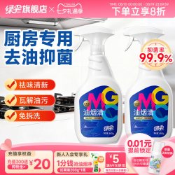绿伞 GMC油污清洁剂油烟机清洗剂厨房去重油2瓶家用装油污净油烟清