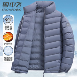 雪中飞 90绒轻薄羽绒服男女同款立领时尚休闲秋冬保暖外套男 雾霾蓝三层锁绒 L
