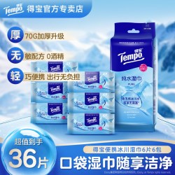 得宝 迷你卫生湿巾6片×6包