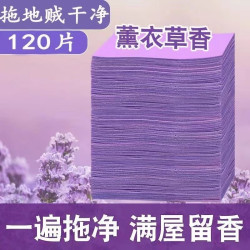 芳美人 瓷砖地板清洁片地面木地砖多效拖地增亮剂家用清香型去污除垢留香