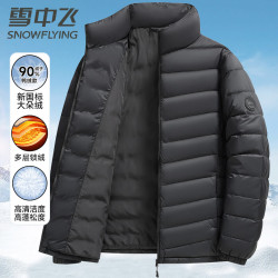 雪中飞 90绒轻薄羽绒服男女同款立领时尚休闲秋冬保暖外套男 灰色三层锁绒 3XL