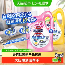 花王 进口花王拖地清洁剂除菌除螨消毒木地板速干地瓷砖地板清洁液