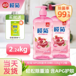 榄菊 APG除菌洗洁精大桶家用不伤手厨房商用食品用家庭实惠装