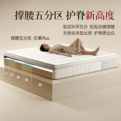 简息 撑腰五分区贝果plus0胶护脊床垫