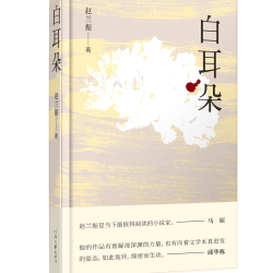 白耳朵 赵兰振 著 深度触摸乡村的苦难与幸福 将精神深处的晦暗与褶皱一一照亮 河南文艺出版社旗舰店 官方正版