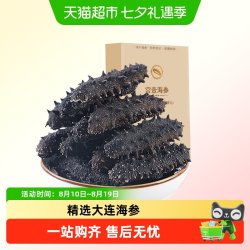 宫壹 大连 淡干海参 50g