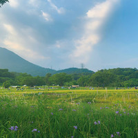 移动端：深圳盐田凯悦酒店1晚+野餐小食包1份+享悦100元餐饮代金券1张