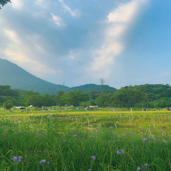 深圳盐田凯悦酒店1晚+野餐小食包1份+享悦100元餐饮代金券1张