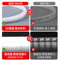 国际电工 COB灯带 220V防水自粘 5米 LED灯条