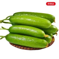 京地达 果萌芽 京地达山东水果小黄瓜净重5斤现摘现发轻食 源头直发