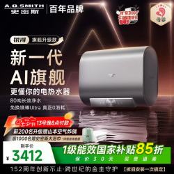 A.O.SMITH 免换镁棒 电热水器  3000W 60L
