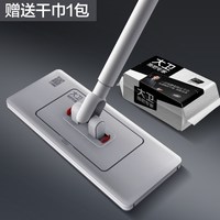 大卫 平板拖把懒人夹布阔面板拖把2026新款家用干湿两用洗脸巾拖布