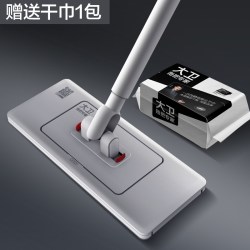 大卫 平板拖把懒人夹布阔面板拖把2026新款家用干湿两用洗脸巾拖布
