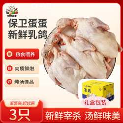 保卫蛋蛋 山东乳鸽 900g/3只 端午礼盒装 新鲜白羽王鸽子肉  源头直发