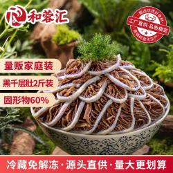 和蓉汇 黑千层肚 1kg 冷藏火锅食材