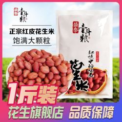 盛泰壹斗粮 1斤新红皮花生米商用无壳花生米新鲜四粒红花生