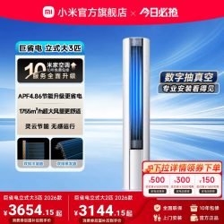 小米 MIJIA 米家 巨省电系列 PL30/N1A1(W) 新一级能效 立柜式空调
