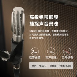 爱克创 RM821专业录音室舞台无源铝带话筒直播K歌麦克风