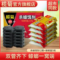 榄菊 杀蟑饵剂家用非蟑螂药大小通用蟑一窝端蟑螂屋粘贴板杀蟑套装