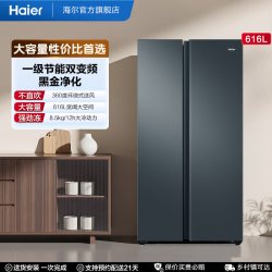 海尔 盛宴系列 BCD-616WGHSSEDC9 风冷对开门冰箱 616L 烟青色