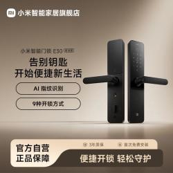 小米 XMZNMST10LK 智能门锁 E30