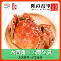 阳澄湖牌 六月黄大闸蟹 1.5两*8只