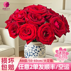 麒麟花开玫瑰花鲜花云南源头直发红玫瑰向日葵百合花束生日礼物鲜切花 任意玫瑰-10枝
