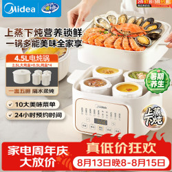 美的 DZE2552 电炖锅 4.5L