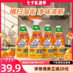 威猛先生 油污净厨房油烟去油污清洁剂油烟机清洗剂